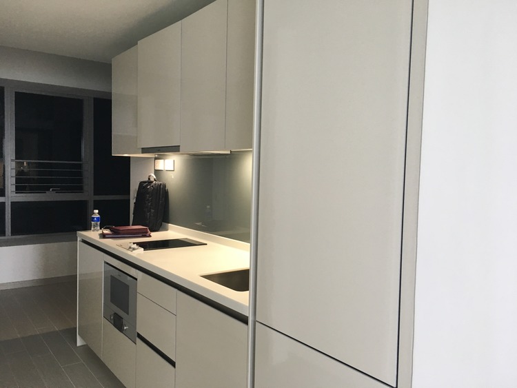 V On Shenton (D1), Apartment #161336942